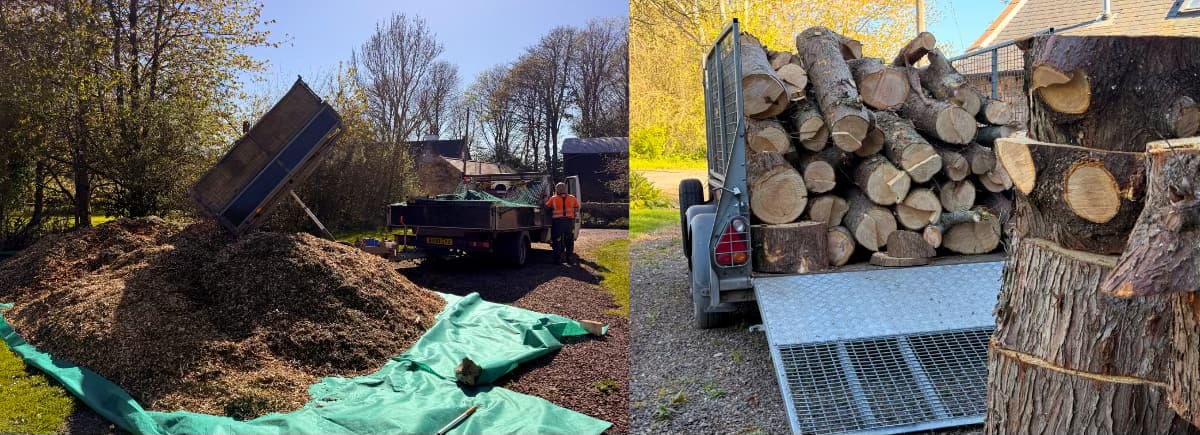 A mountain of wood chip and logs A mountain of wood chip and logs