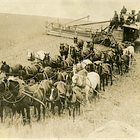 Agricultural innovation is vital to human progress (the series)