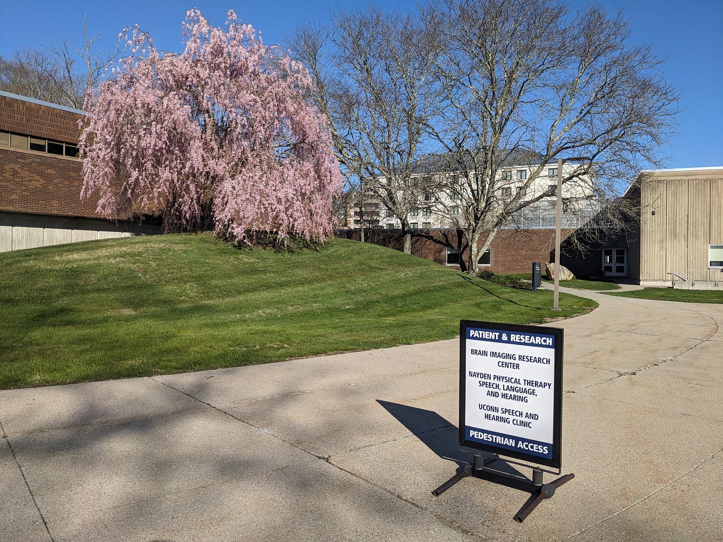Photograph of the outside of the Phillips Communication Sciences Building. There is a blooming willow tree in front and a sign that lists out everything in the building Photograph of the outside of the Phillips Communication Sciences Building. There is a blooming willow tree in front and a sign that lists out everything in the building