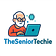 TheSeniorTechie