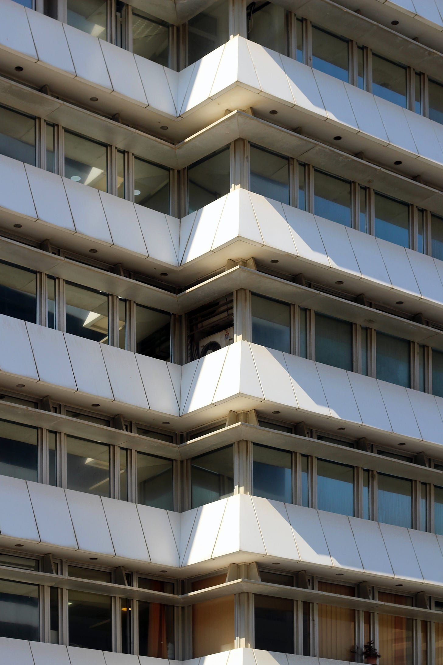 IMG_8617.jpeg IMG_8617.jpeg