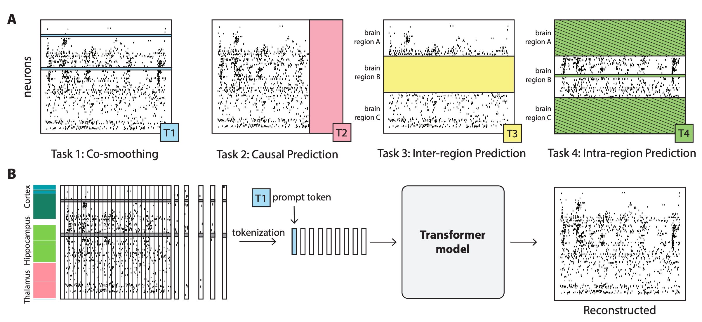 Foundation models for neuroscience - by Patrick Mineault