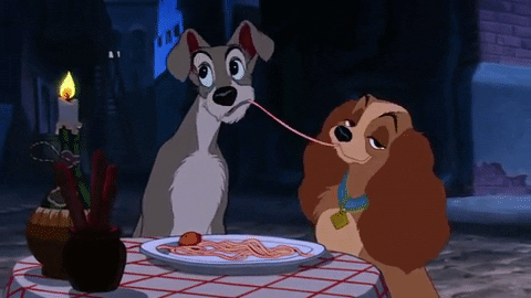 Lady-and-the-tramp GIFs - Get the best GIF on GIPHY