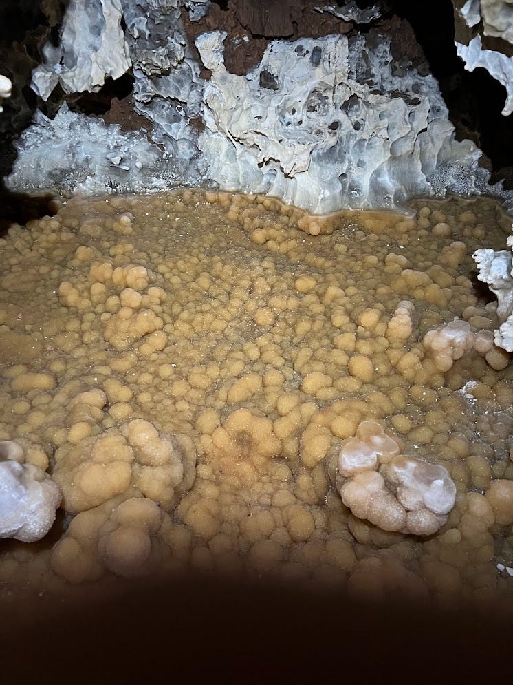 velvet-textured cave pearls in the floor with white popcorn above them velvet-textured cave pearls in the floor with white popcorn above them