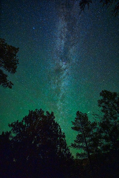 Milky Way Rising Over Pine