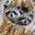Naturegirl's avatar