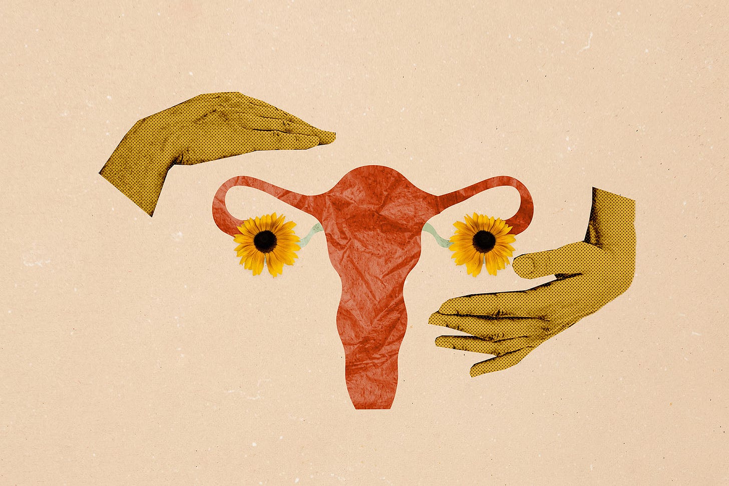 an illustration showing a uterus with sunflowers where ovaries are and then two hands surrounding it an illustration showing a uterus with sunflowers where ovaries are and then two hands surrounding it