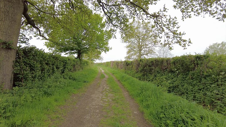 Views of the countryside on my walk at Rowde Devizes.