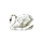 the unknown archive
