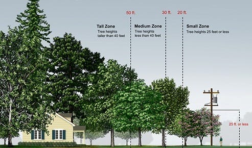 Julie Orr Design | Full Service Landscape Design Julie Orr Design | Full Service Landscape Design