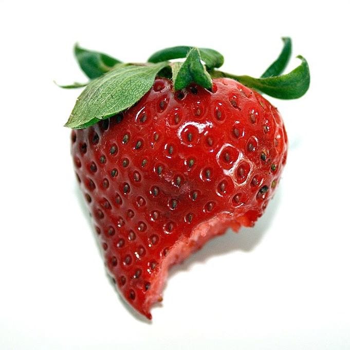 The Garden Grazer Newsletter