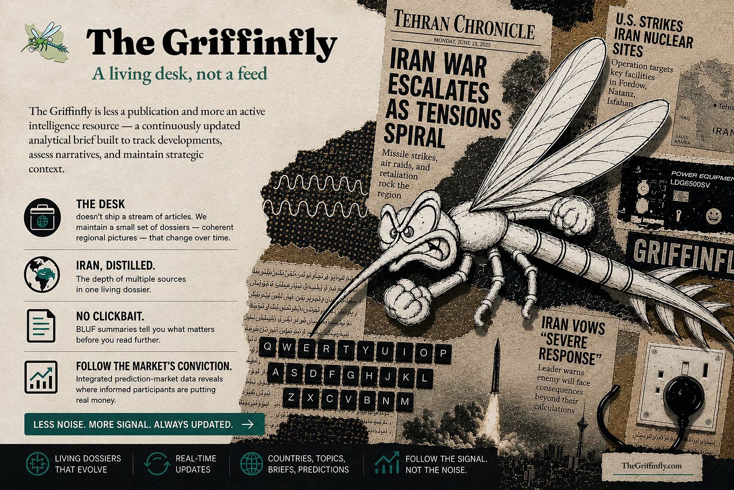 www.thegriffinfly.com