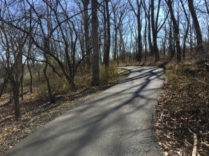 off to the woods