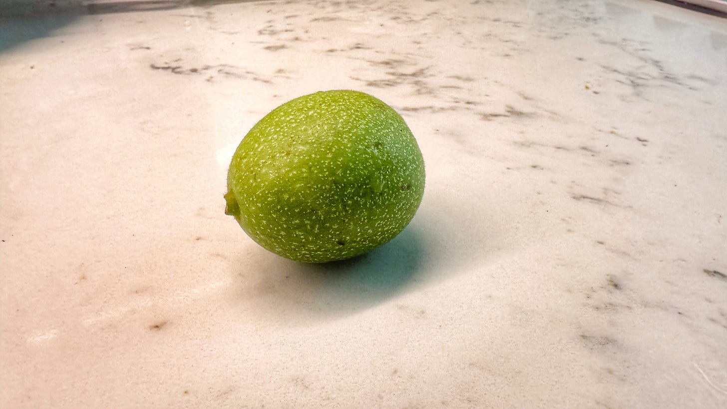 A green walnut on a quartz countertop A green walnut on a quartz countertop