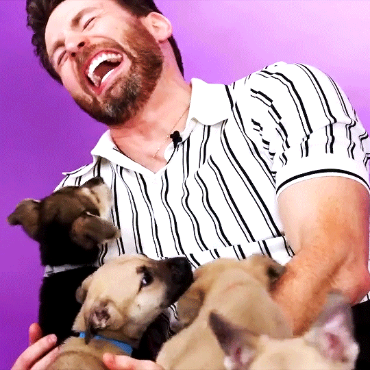 lloyd hansen's cottage wife — Chris Evans; Puppy Interview Sneak Peak.