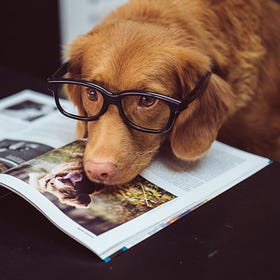 4 keys to creating actionable buyer personas