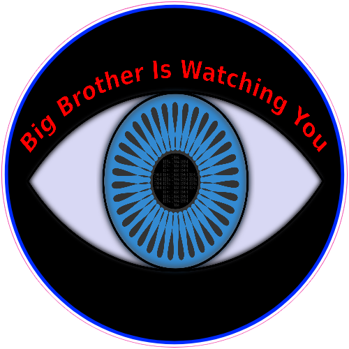 Big Brother Is Watching You Eye Sticker - U.S. Custom Stickers
