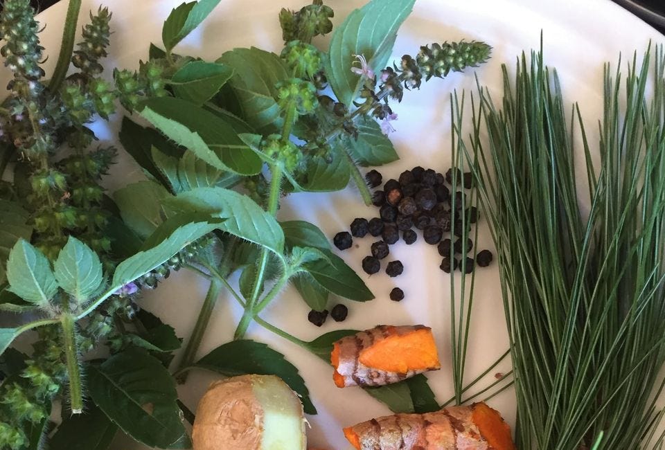Stacking Functions in the Garden, Food Forest and Medicine Cabinet : The Regenerative Way From Seed To Apothecary