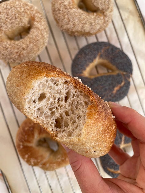 Sourdough Bagel Recipe from Alisa Brown