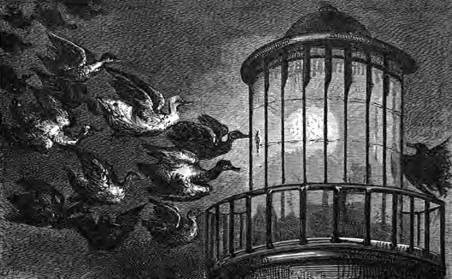 Birds flying into a lantern