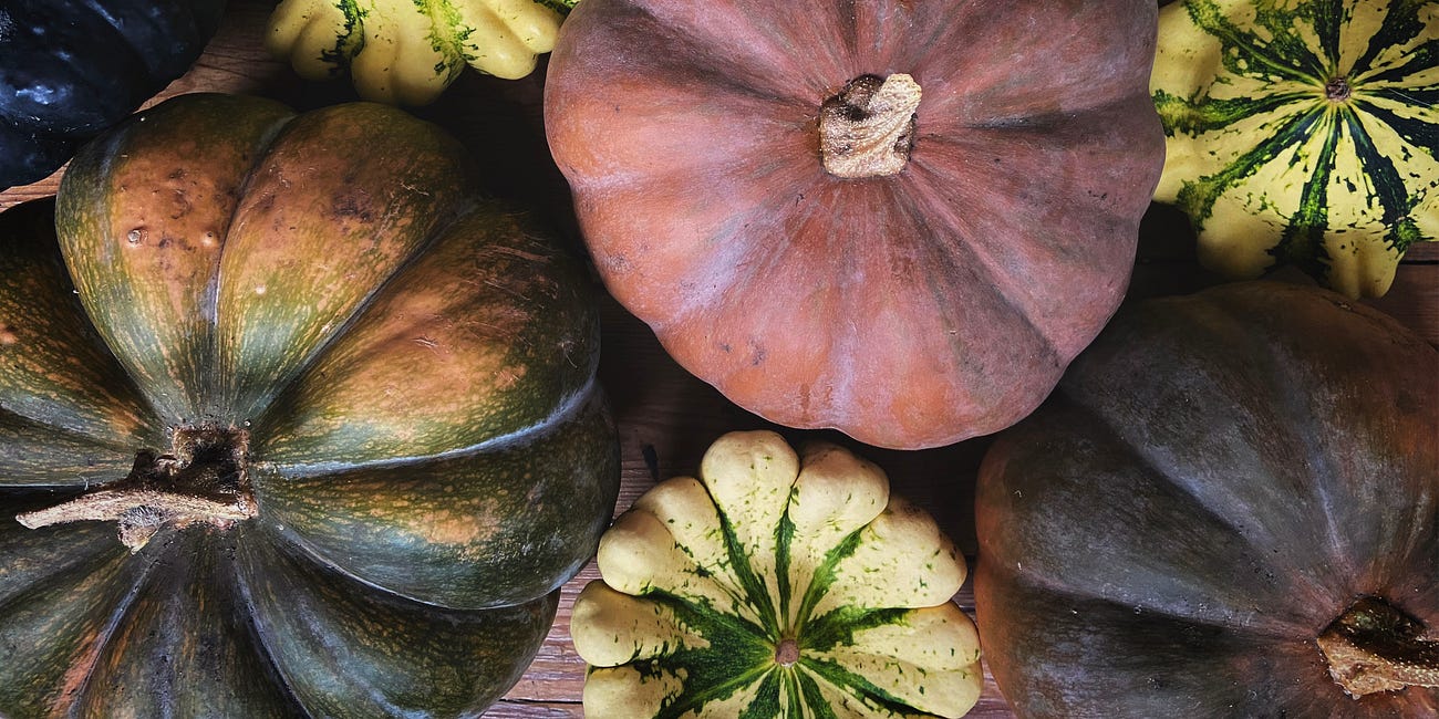 How to grow winter squash
