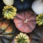 How to grow winter squash