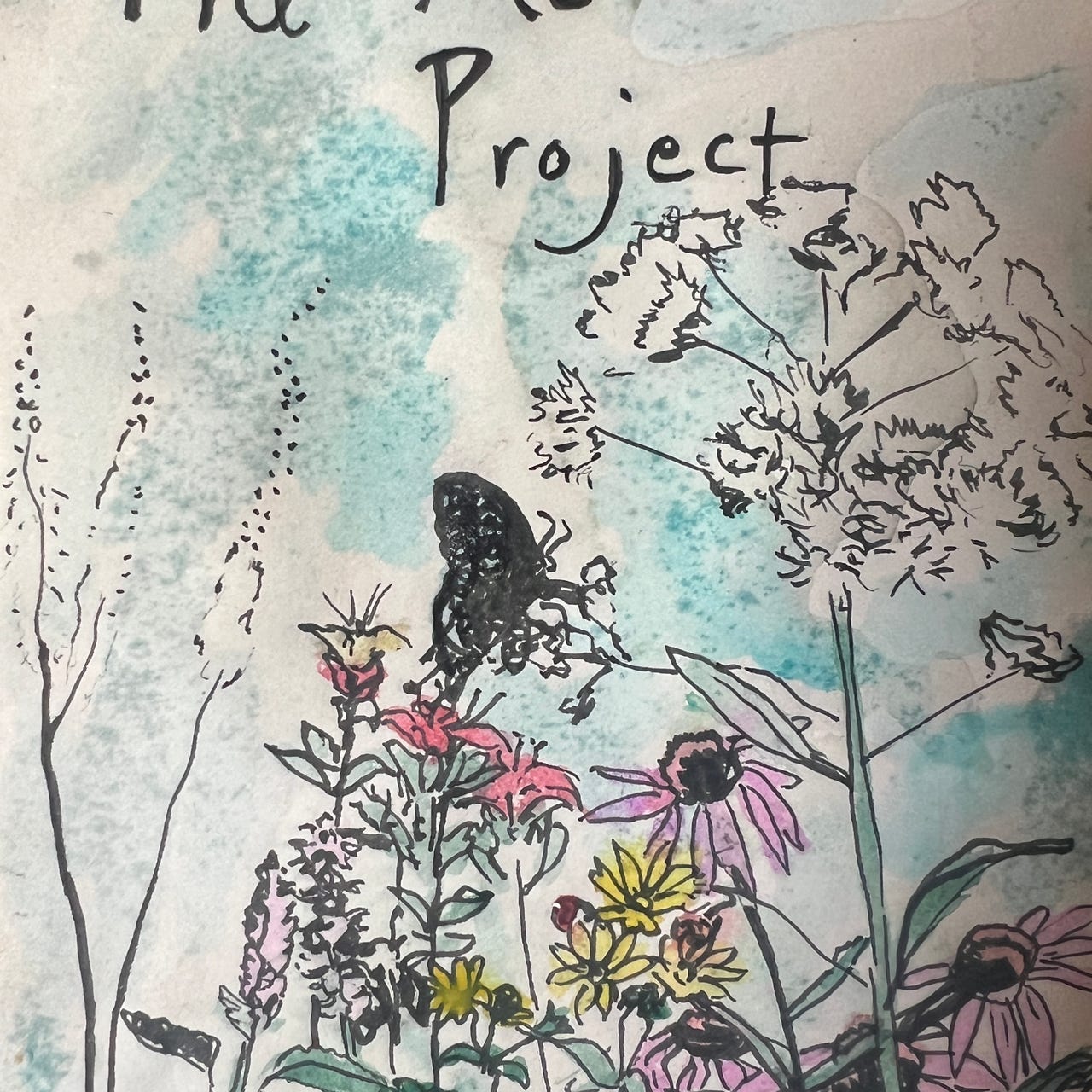 The Meadow Project