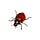 bedbug diaries