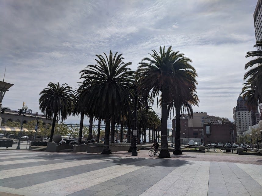 an open area with palm trees in downtown SF
