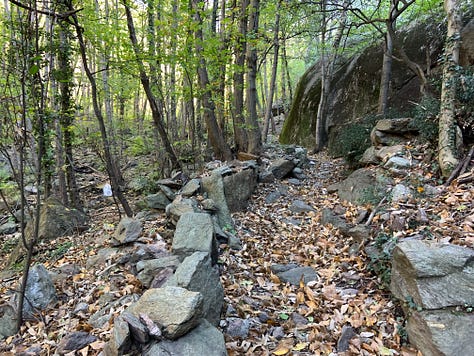 Autumn Walks In The Forests And In The Mountains: The Perfect Escape From City Life