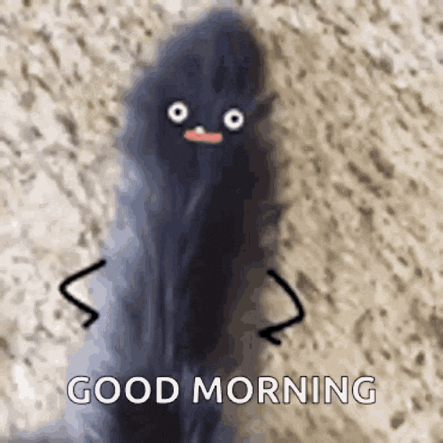 A cat's tail with googly eyes says good morning A cat's tail with googly eyes says good morning