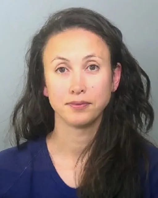 Driver Arrested for DUI After Tesla Found Stopped in I-75 Travel Lane