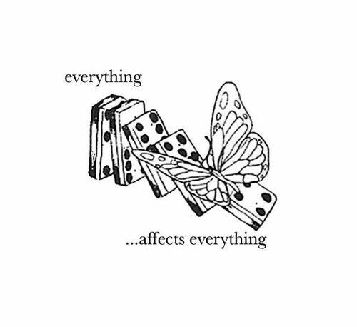 This may contain: a black and white drawing of a butterfly with the words, everything affects everything on it