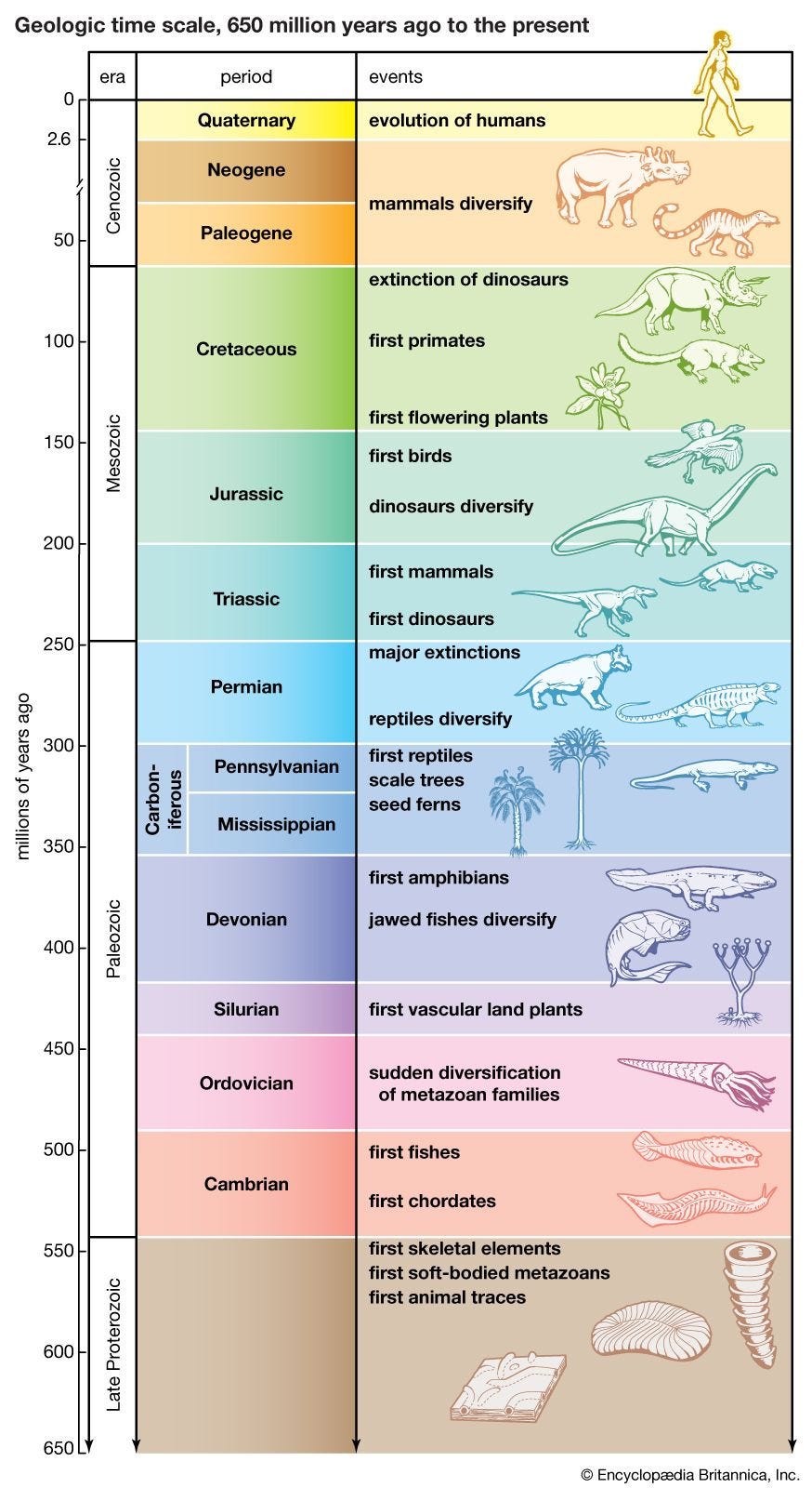 Evolution | Definition, History, Types, & Examples | Britannica