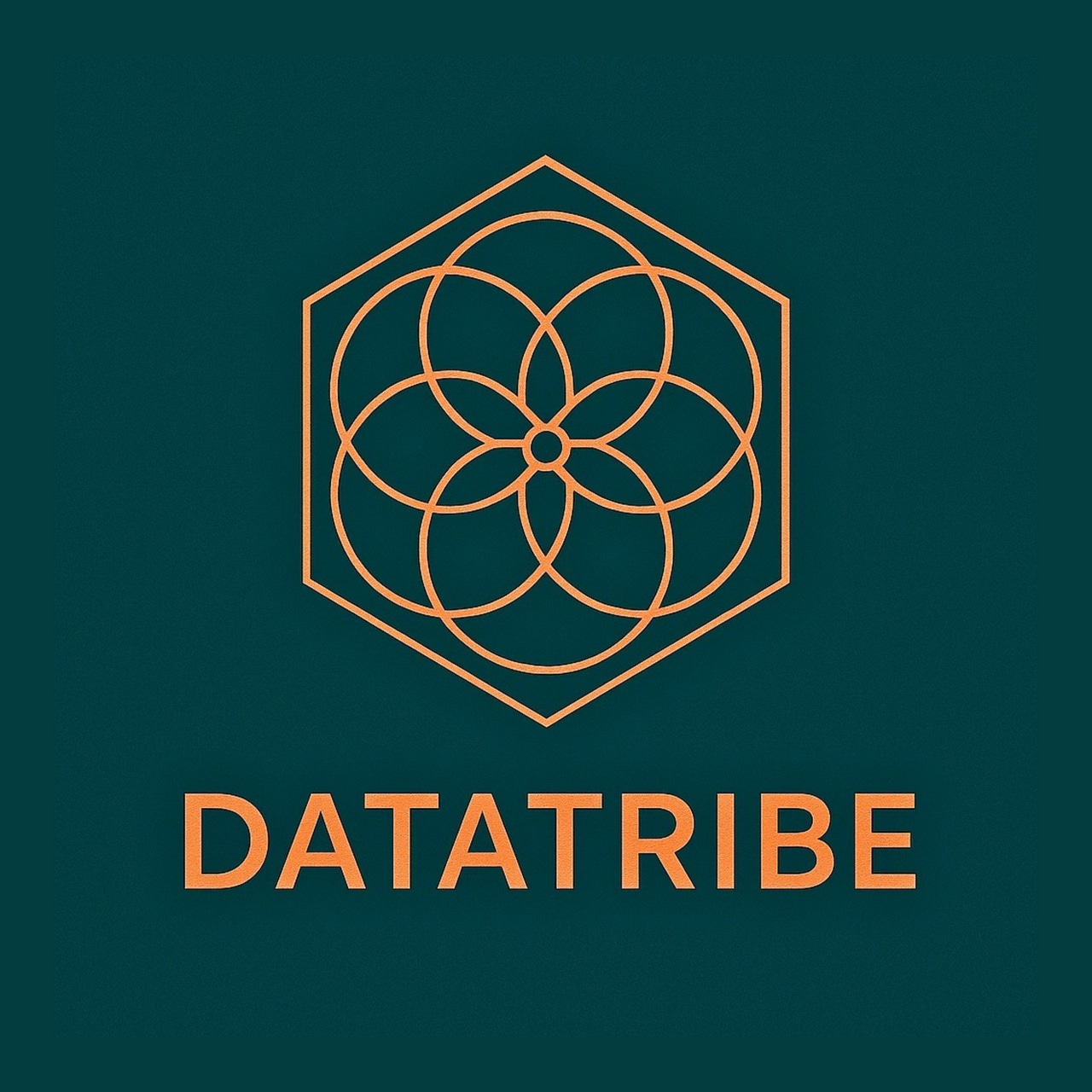 DataTribe Collective logo