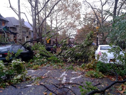 A tree fallen over a street

AI-generated content may be incorrect.