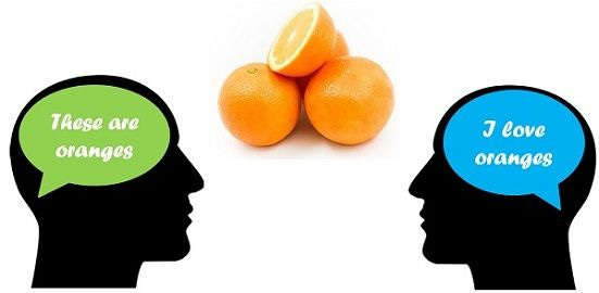 Difference Between Objective and Subjective (with Comparison Chart) - Key  Differences