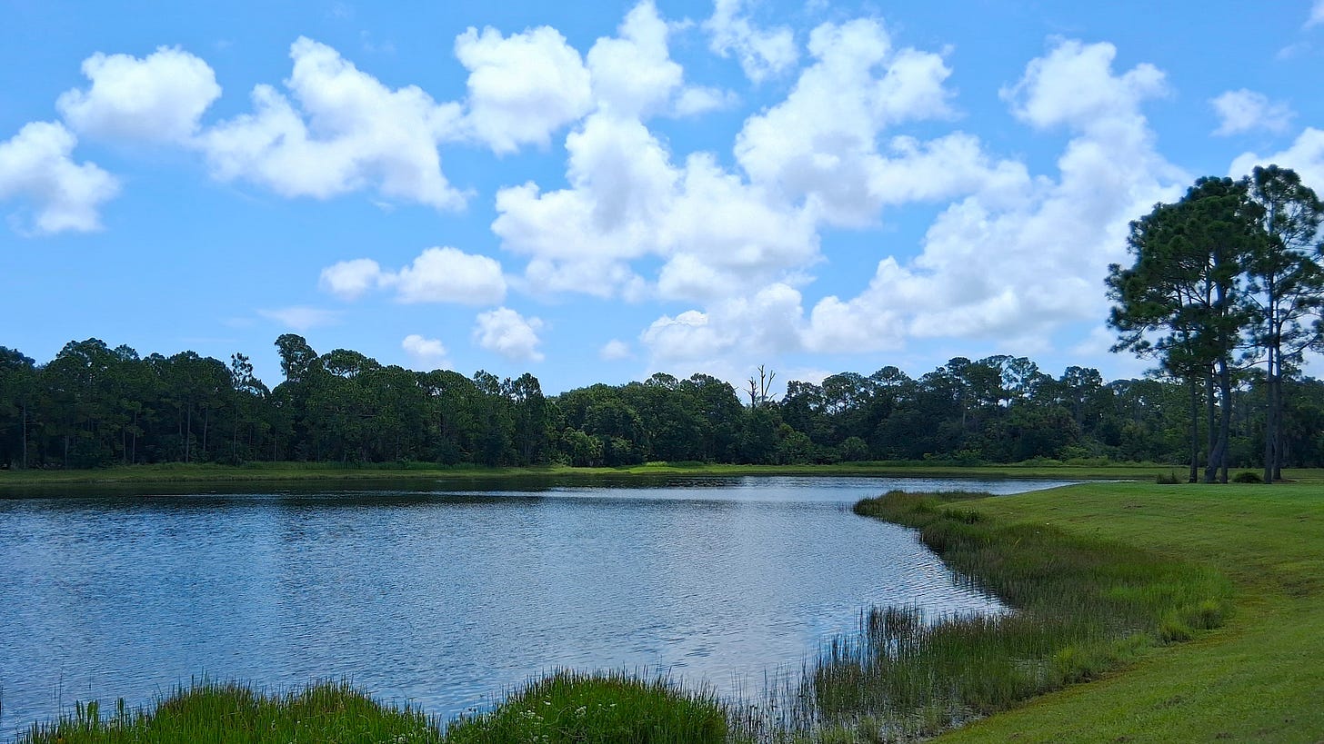 Eagle Crest conservation area.