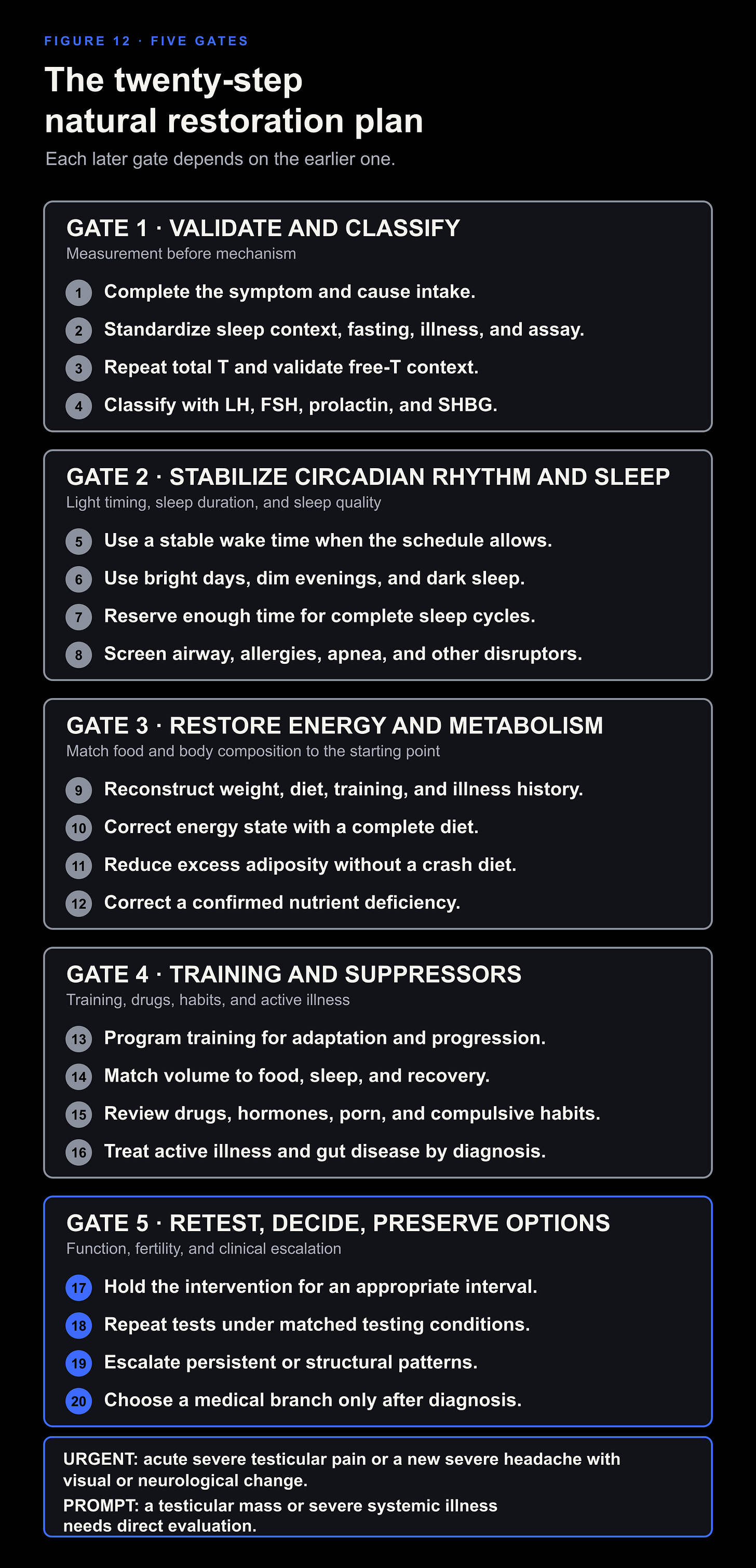 The twenty-step natural testosterone protocol