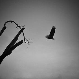 Let go
