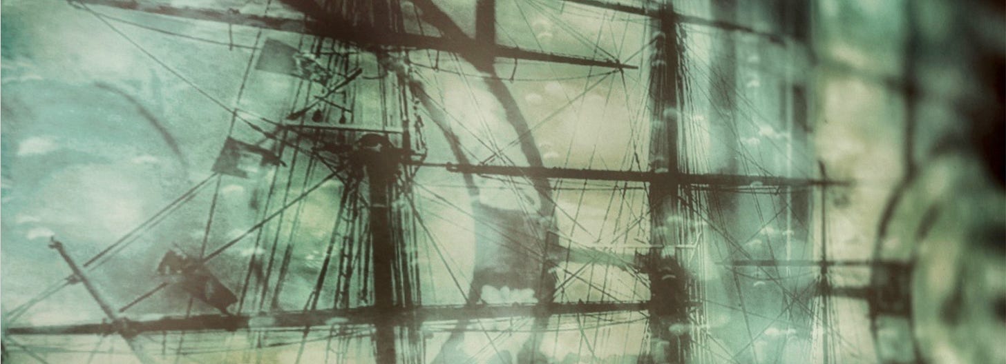 Digital Photograph Collage by Bianca Bagatourian