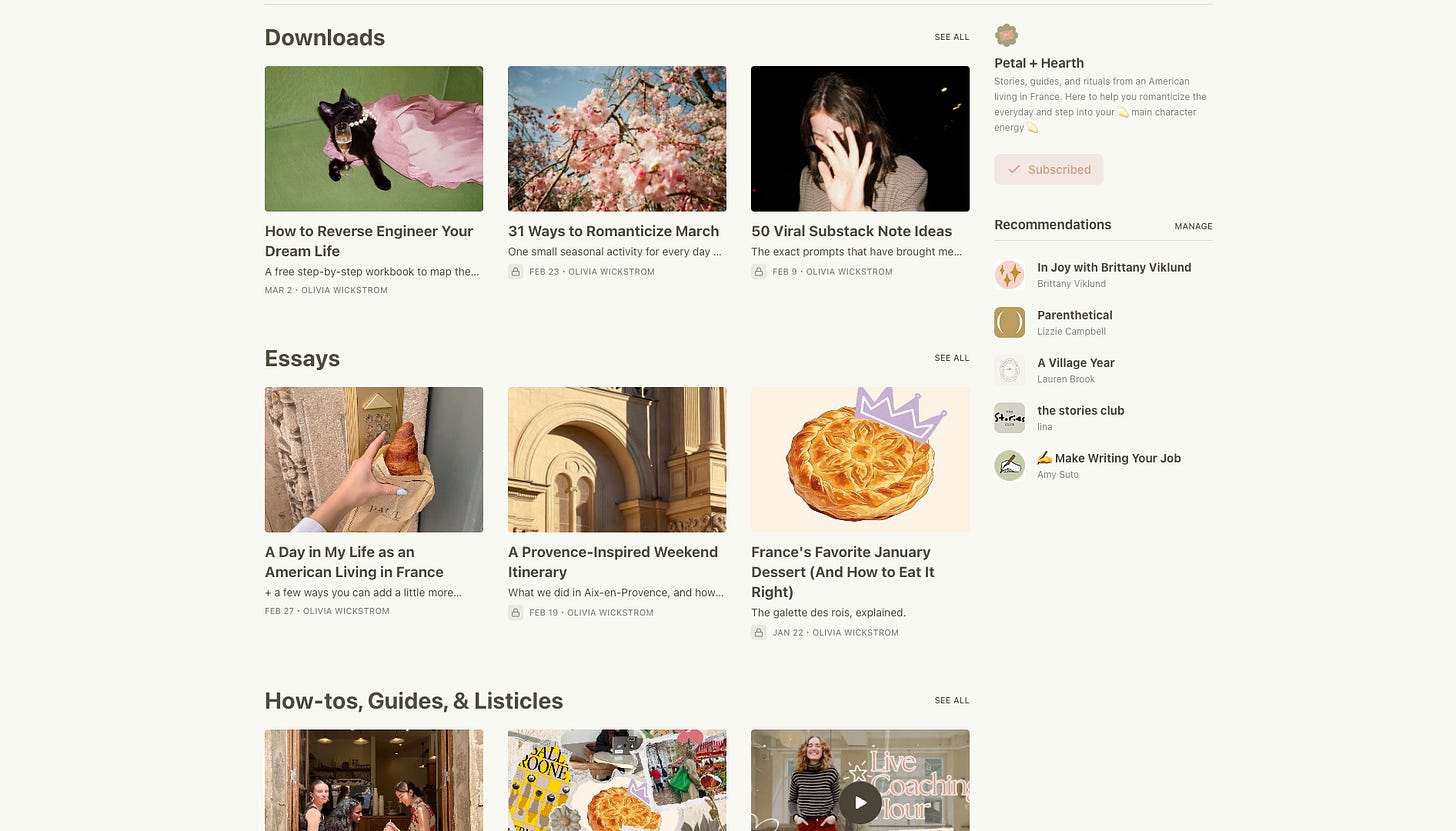 Substack Photo Examples How I Took My Substack Full-Time in One Year