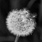 30 Days of NetScaler: Day 2 GSLB
