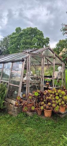 A greenhouse with plants in it

AI-generated content may be incorrect.