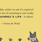 Imagining my dog’s “umwelt” helps us be a better team