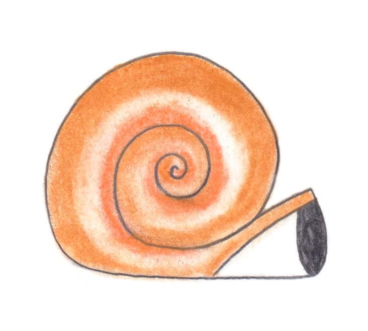 a drawng of a snail whose head is disappearing into a hole