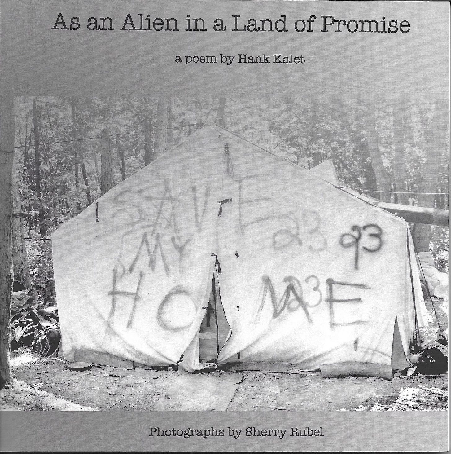 asanalieninalandofpromise.wordpress.com