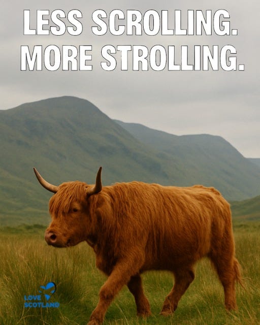 May be an image of text that says 'LESS SCROLLING. MORE STROLLING. LOVE SCOTLAND'