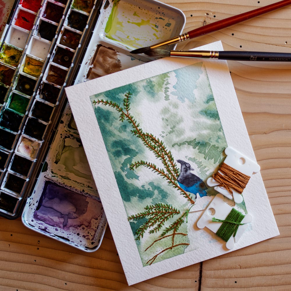 An unfinished embroidered watercolor illustration of a Steller’s jay standing on a clump of snow on a fir branch. The paper is on top of a used watercolor palette, next to two watercolor brushes. Bobbins with two colors of embroidery floss sit on top of the illustration. The background is a plank of wood.