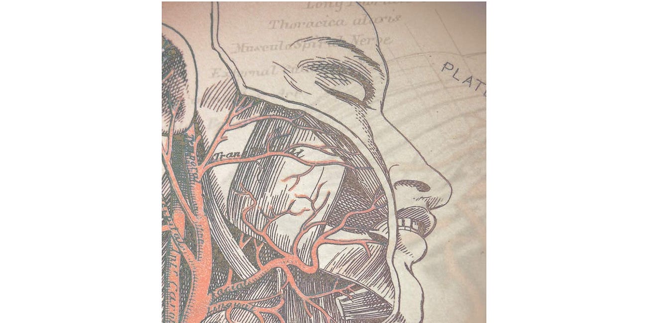 Utilitarian Bioethics, Medical Socialism and the State